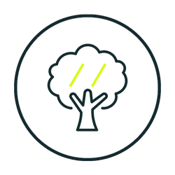 benefits icon