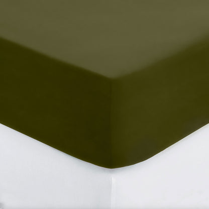 Skin Savior™ Eucalyptus Silk Fitted Sheet